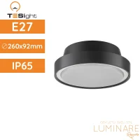 Vanjska plafonjera TESlight P2581-E27 E27 IP65 fi260x92mm, antracit sivo UV otporno antikorozivno kućište